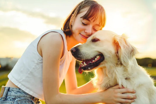 dog is perfect pet blog.
